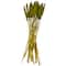 Dried Plant Bunny Tail Natural Foliage with Long Stems